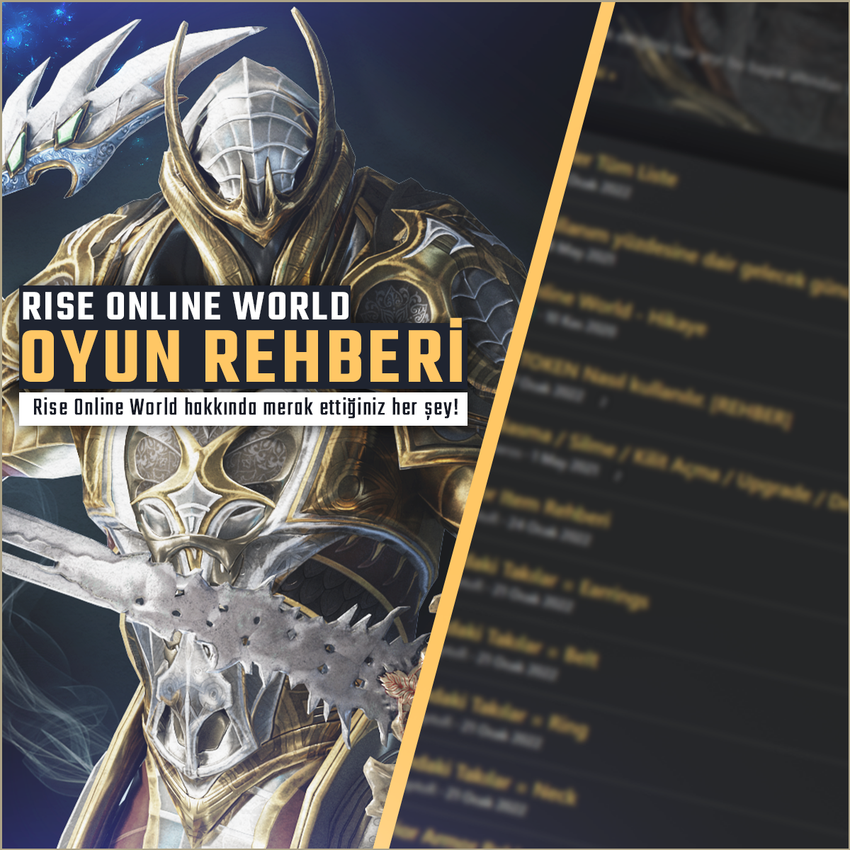 Rise Online World Rehber